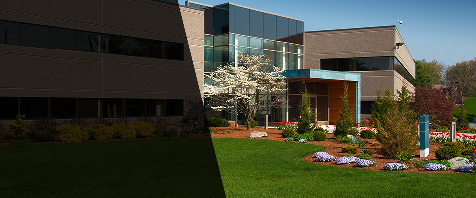 Berwyn Landscapers