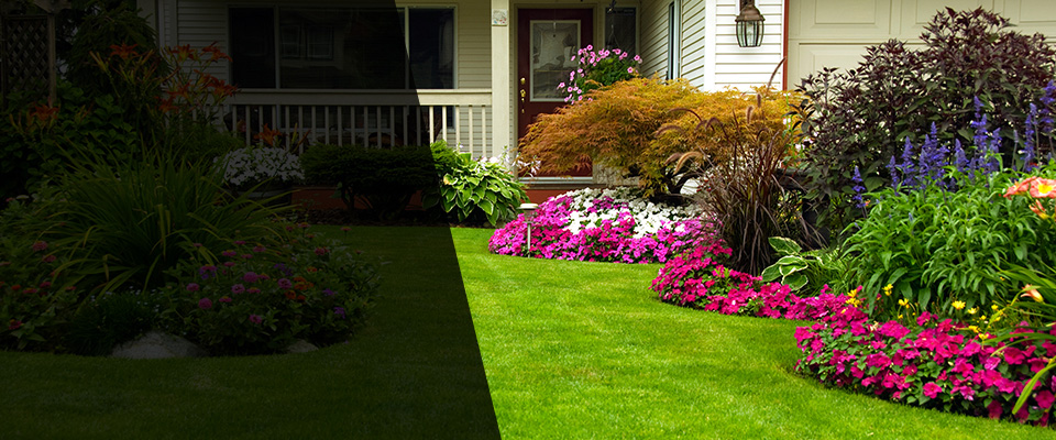 Berwyn Landscapers