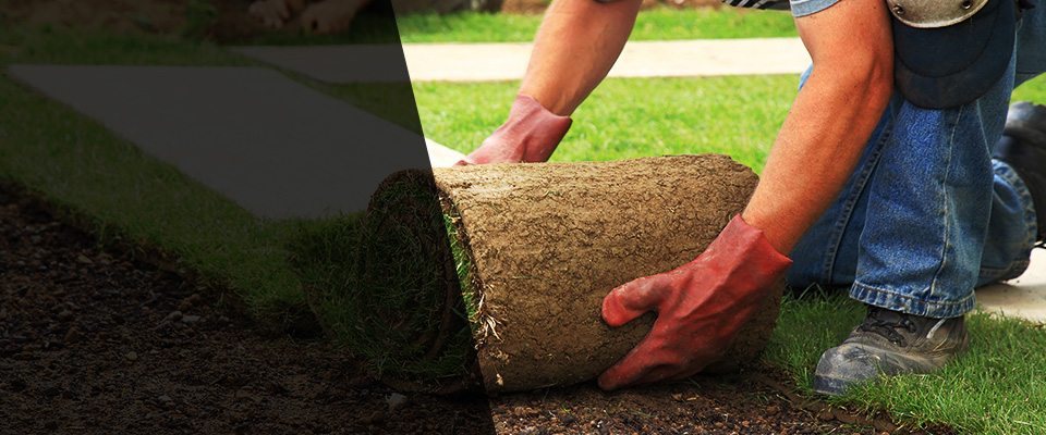 Berwyn Landscapers